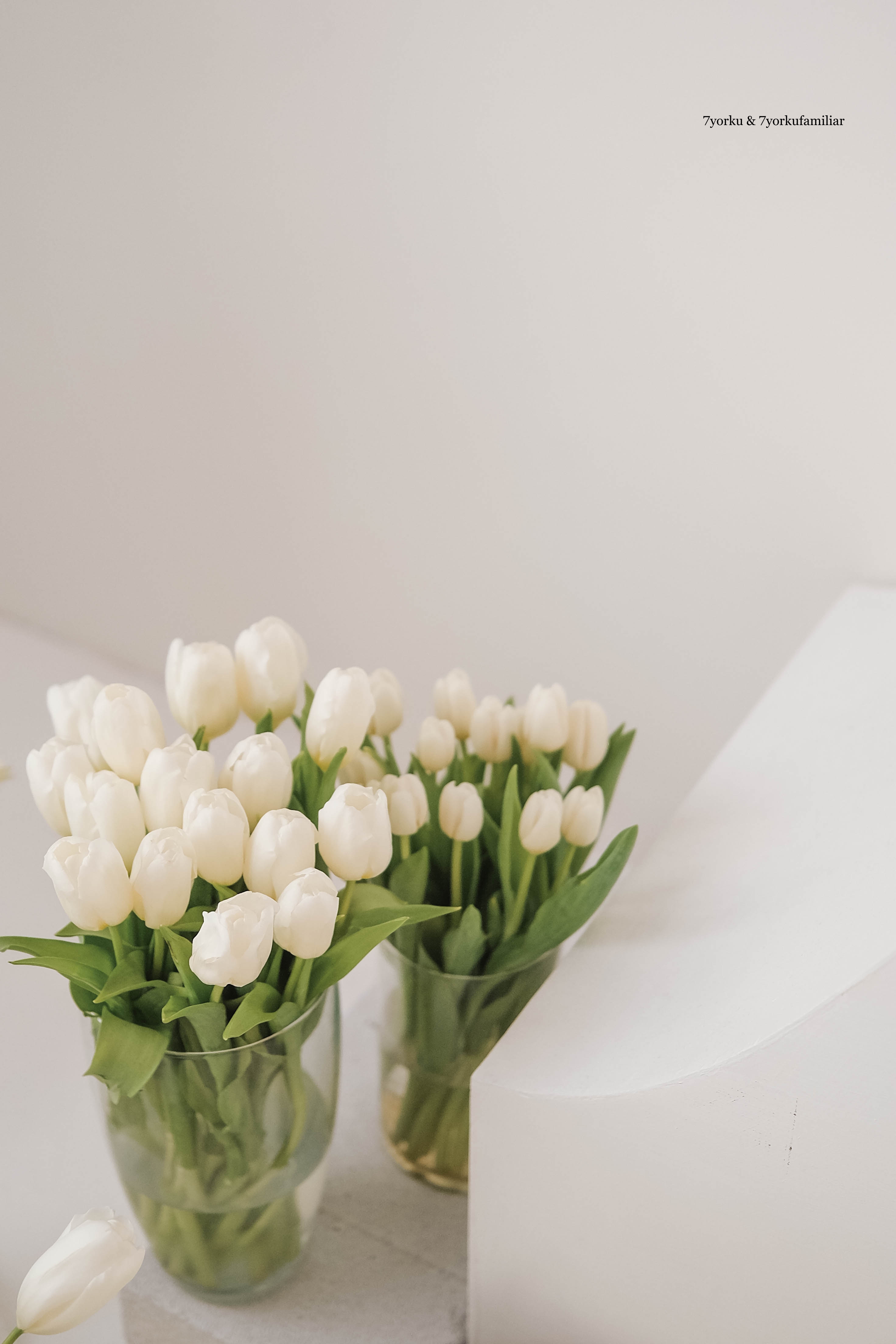 Careers サブ画像