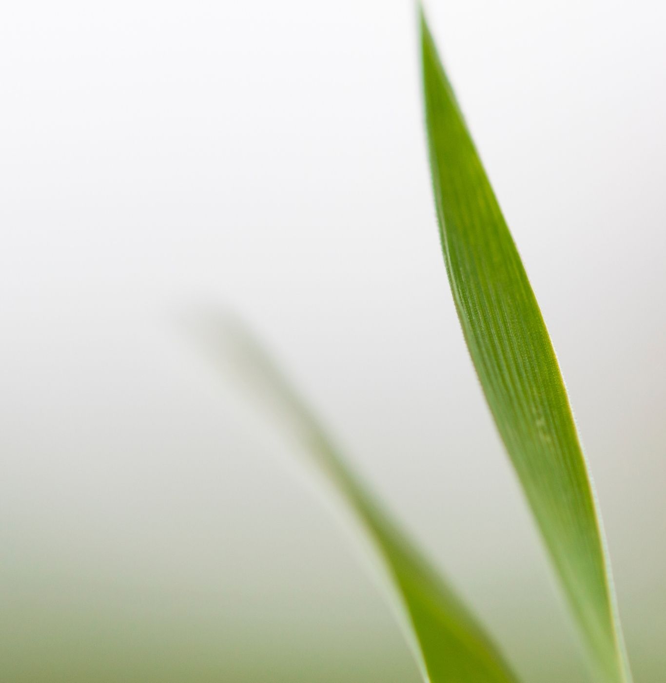 Privacy Policy イメージ