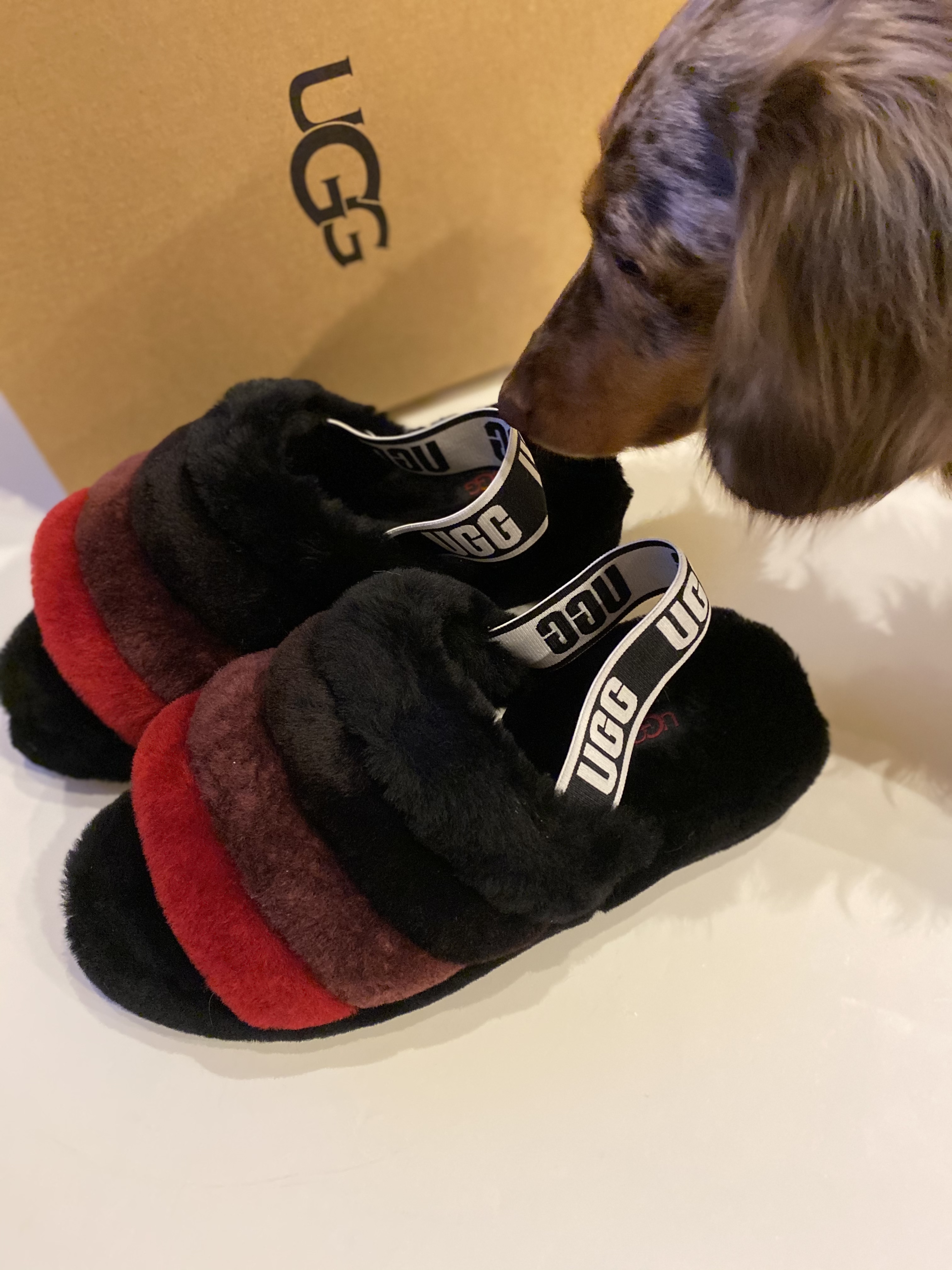 ugg ルームシューズ