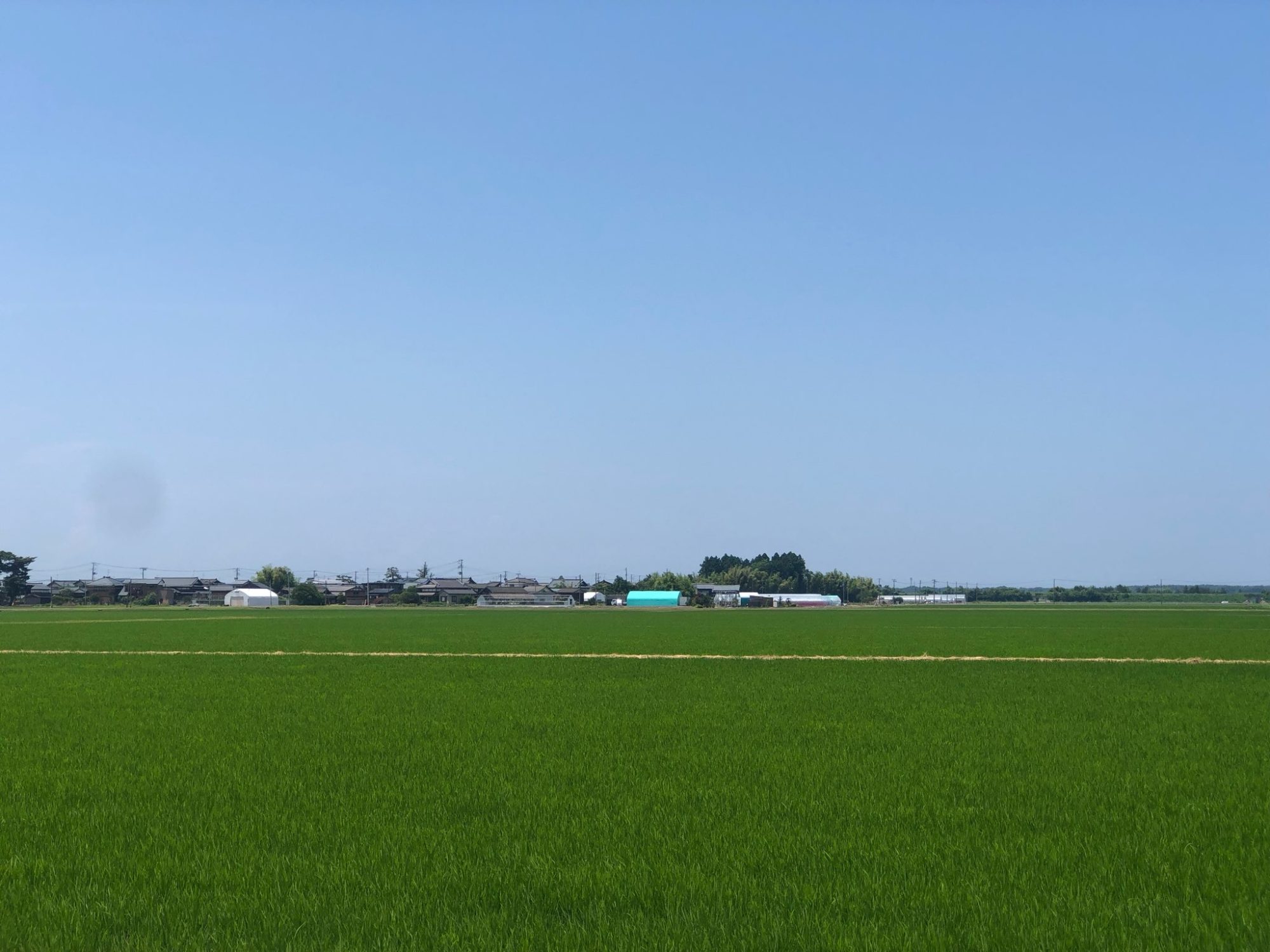 田園風景