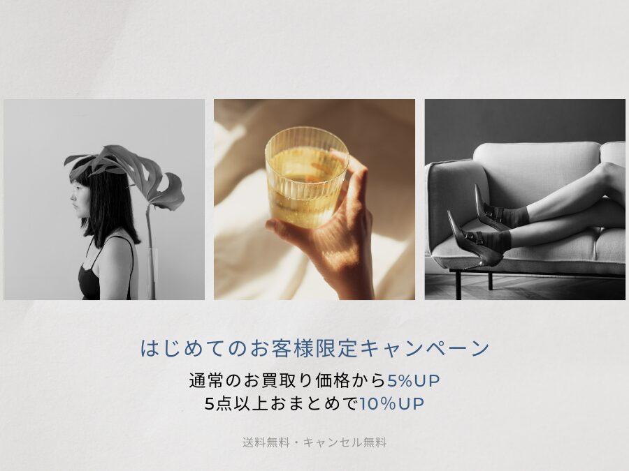 HARUNOBUMURATA ハルノブムラタ FRAVIA スキッパー マキシワンピース 